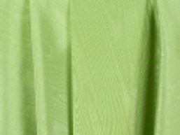 Where to rent NAPKIN BENGALINE APPLE-851 in Mt. Airy NC
