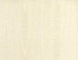 Where to rent NAPKIN BENGALINE IVORY-844 in Mt. Airy NC