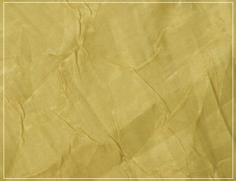 Where to rent NAPKIN I.C. MOSS-774 in Mt. Airy NC