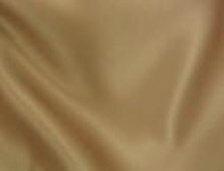 Where to rent NAPKIN MATTE SATIN SAND-662 in Mt. Airy NC