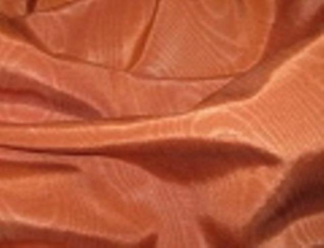 Where to rent SASH BENGALINE BURNT ORANGE-848 in Mt. Airy NC