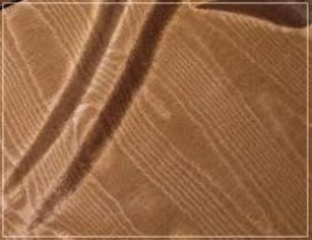 Where to rent SASH BENGALINE GOLD-837 in Mt. Airy NC