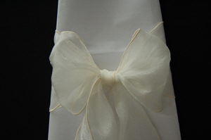 Where to rent SASH ORGANZA MAIZE-903 in Mt. Airy NC