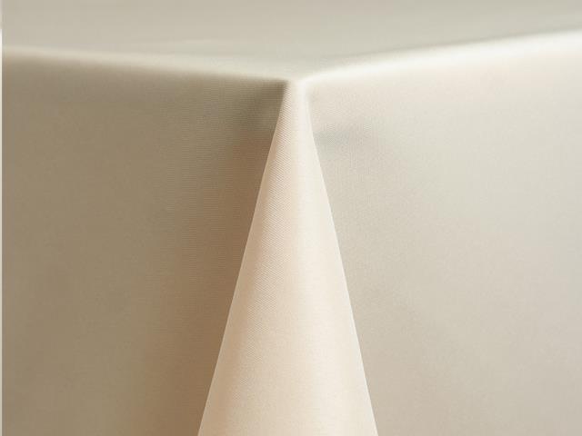 Where to rent NAPKIN SAND-V101 in Mt. Airy NC