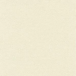 Where to rent IVORY SASH in Mt. Airy NC